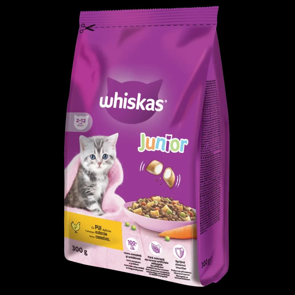 Whiskas Dry Food for kittens, Chicken, 300g
