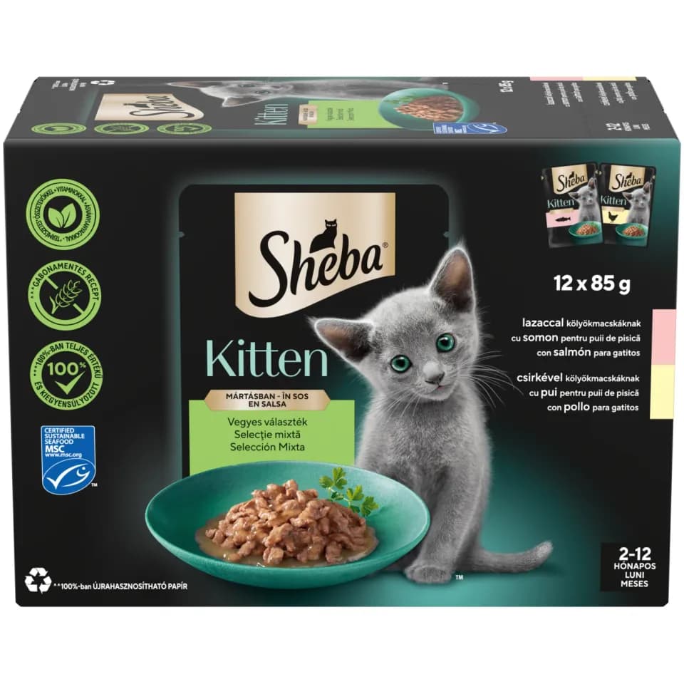Sheba Wet Food for kittens, Mixed Selection in Gravy, 12 × 85g