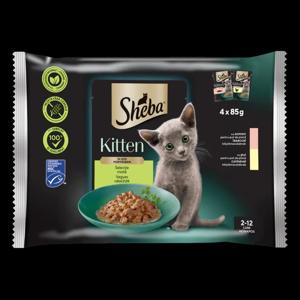 Sheba Wet Food for kittens, Mixed Selection in Gravy, 4 × 85g